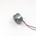 Motor de corrent continu de 24mm12v RF300 raspallat